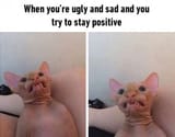 stay_positive