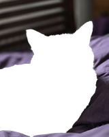 1751912235369836