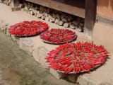 Korean.Folk.Village-Minsokchon-02[1]