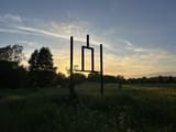 IMG_2291