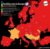 ferility rate 2024