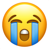 loudly-crying-face_1f62d[1]