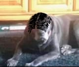 1751919900521274