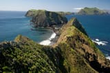 resized-NationalGeographic_2206862