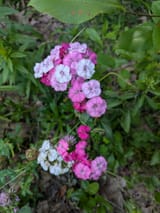 PXL_20250706_185806706