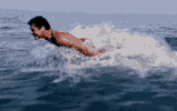david-hasselhoff