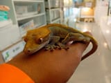 IMG_COM_202507081504595442