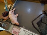 IMG_COM_202507081505003277