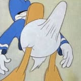 donalbonar