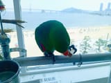 IMG_COM_202507081925252643