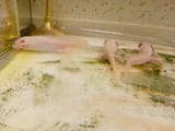 IMG_COM_202507081930038420