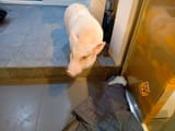 IMG_COM_202507081925251222