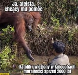 katolik-uwieziony-w-lancuchach-moralnosci-sprzed-2000-lat-malpa-szympans-ja-ateista-chcacy-mu-pomoc