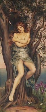 Dryad11