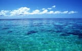 Ocean-view