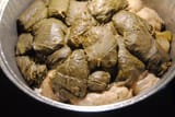 lozovi-zelevi-sarmi