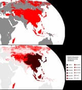 east eurasian dna
