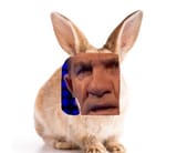 brad disgust 2