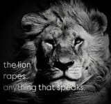 lion