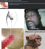 1728775574242602