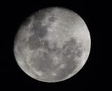 moonage