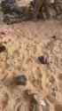 1722108791136[1]_thumb.jpg