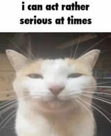 Rather serious