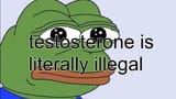 1737585296393104