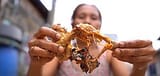 I_collect_trash_remains_for_pagpag