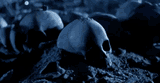 terminator-skull