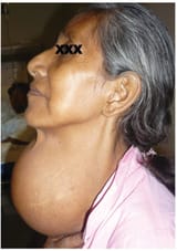 218v36n02-90355183fig1