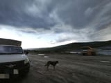 IMG_20250709_204940_870
