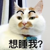17390300488740
