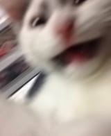 1735752550063275
