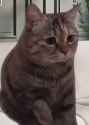 RPReplay_Final1752076082_thumb.jpg