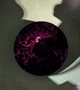 PXL_20250709_165543990