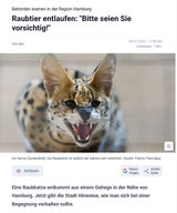 Screenshot 2025-07-09 at 19-57-13 Hamburg Raubkatze in Reinbek entlaufen – Stadt warnt vor Serval