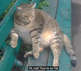 1723816092062026
