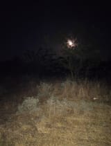 IMG_20250709_221734