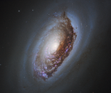 NGC_4826_-_HST