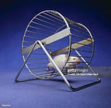 gettyimages-78367645-612x612