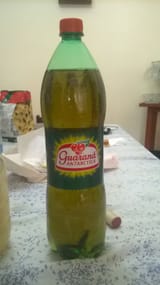 GuaranaARG1coma5