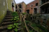 IMG_4791