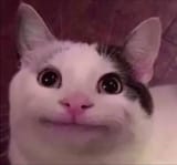 1747424453711344