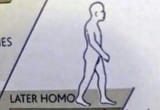 biobuch