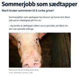 sommerjobb