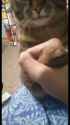 1752145427723969_thumb.jpg