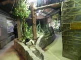 Flamingo Land reptile house