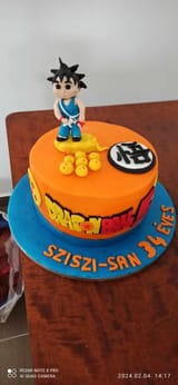 My-first-DRAGON-BALL-themed-birthday-cake-1707211403561