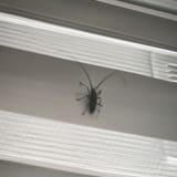 IMG_20250710_202820_511